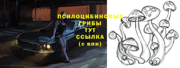 spice Абинск