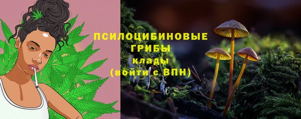 гидропоника Абаза