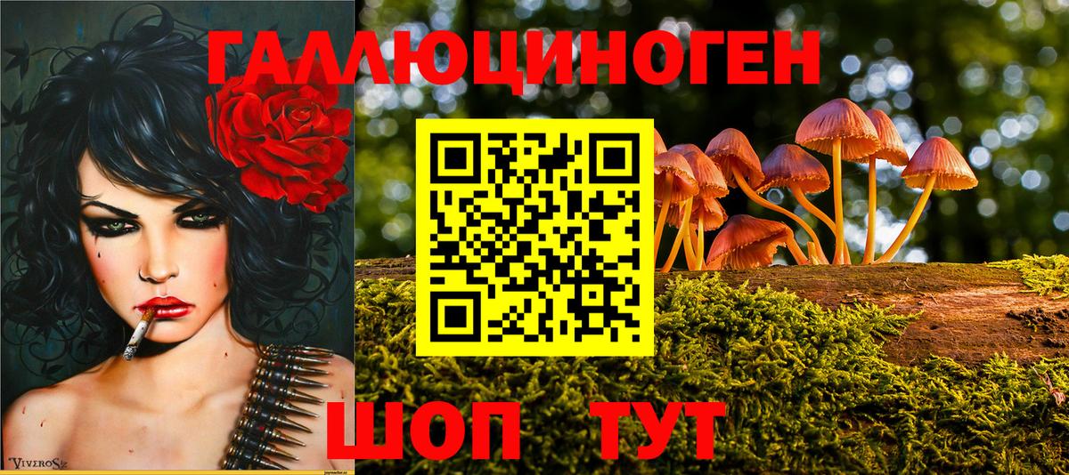 Галлюциногенные грибы MAGIC MUSHROOMS  Вход с VPN  купить  цена  Абинск  Псилоцибиновые грибы GOLDEN TEACHER 