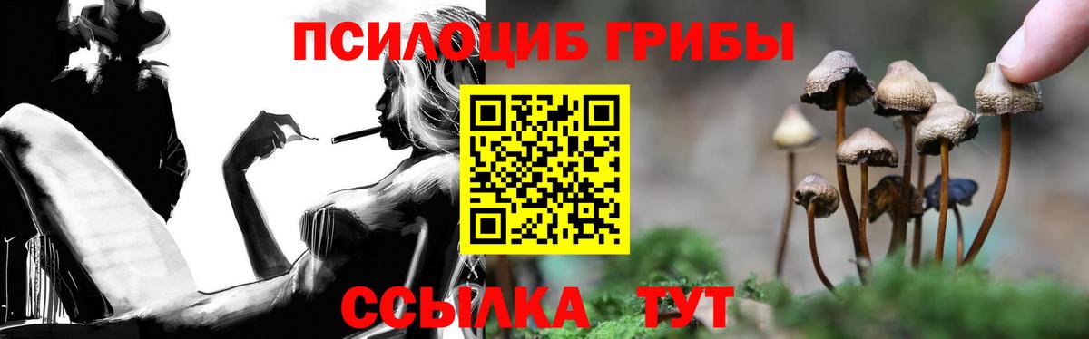 Псилоцибиновые грибы Psilocybe Абинск